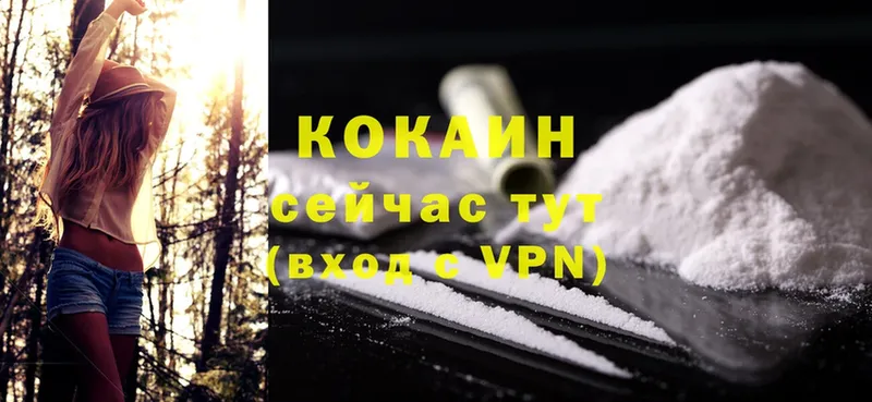 купить наркотики цена  Олонец  Cocaine Эквадор 